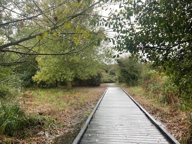 Recycled plastic decking walkway through a nature reserve surrounded by trees and greenery