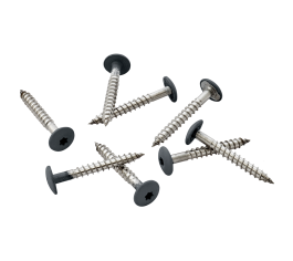 Pack of 100 39mm Stainless Steel Screw + Bit for Fibre Cement Cladding Boards - Slate