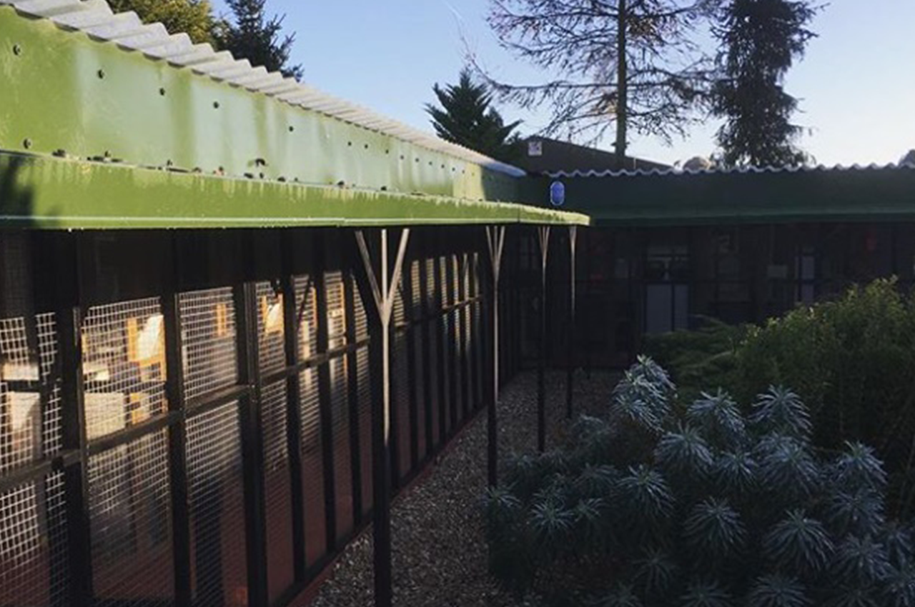 The Garden Mews luxury Hotel for Cats using Cladco Roofing Sheets