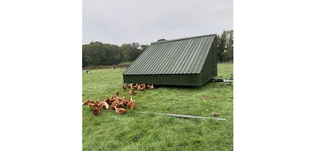 Cladco 32/1000 Box Profile Roofing Sheets form this attractive and unique hen house