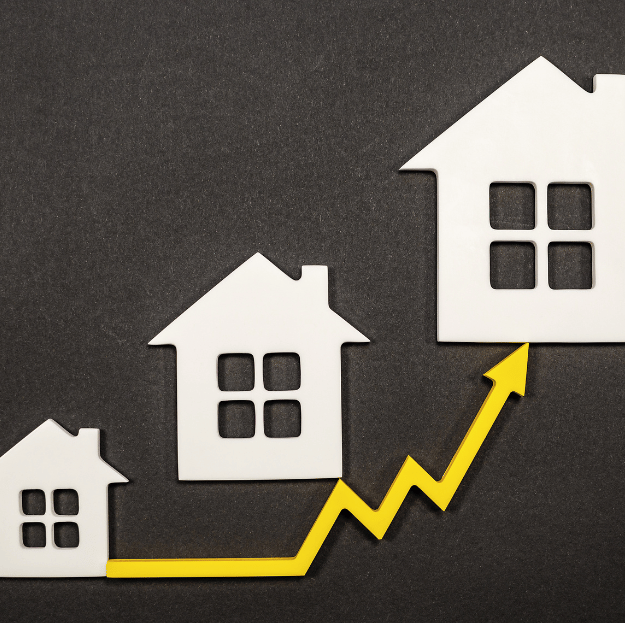 Building Material Prices: 0.2% Fall in Jan 2025