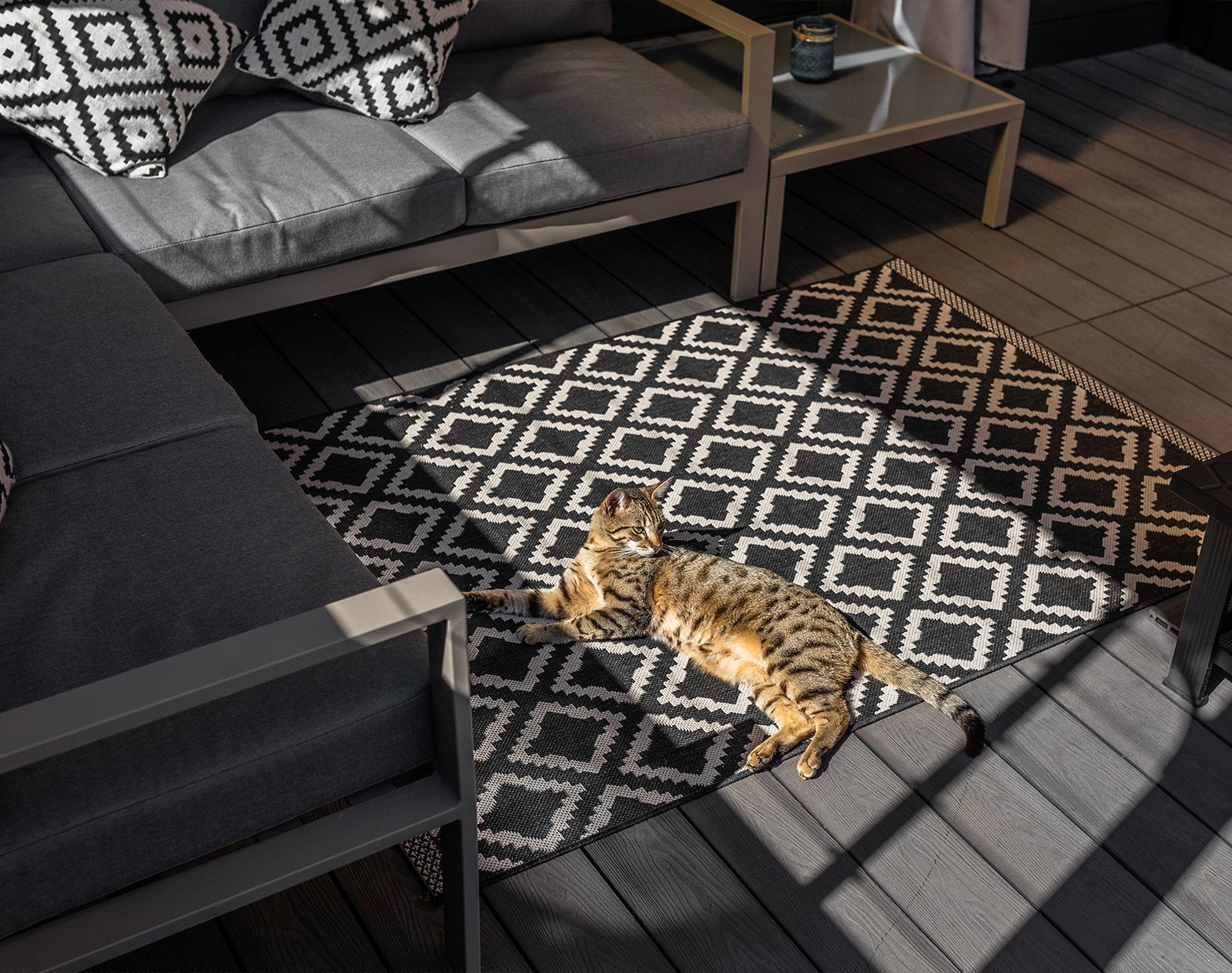Tabby cat relaxing on patterned outdoor rug in a shaded seating area with dark grey composite decking and modern garden furniture.