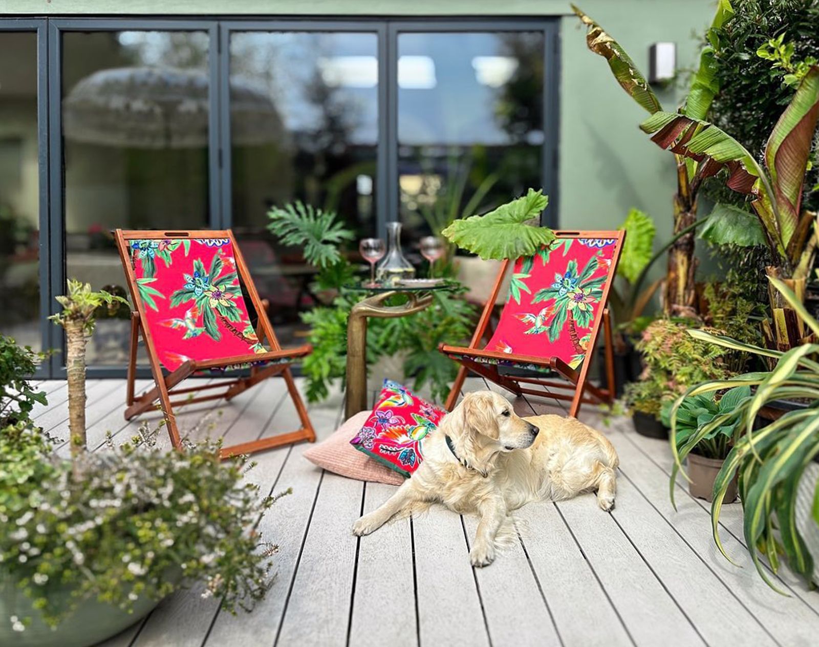 Light grey composite decking in a tropical-style garden with colourful deck chairs, lush plants, and a golden retriever relaxing outdoors.
