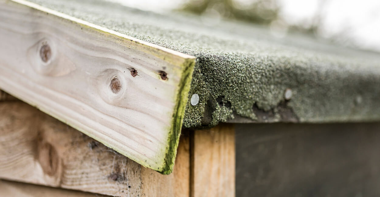 Shed_roof_fascia_board_felt_1