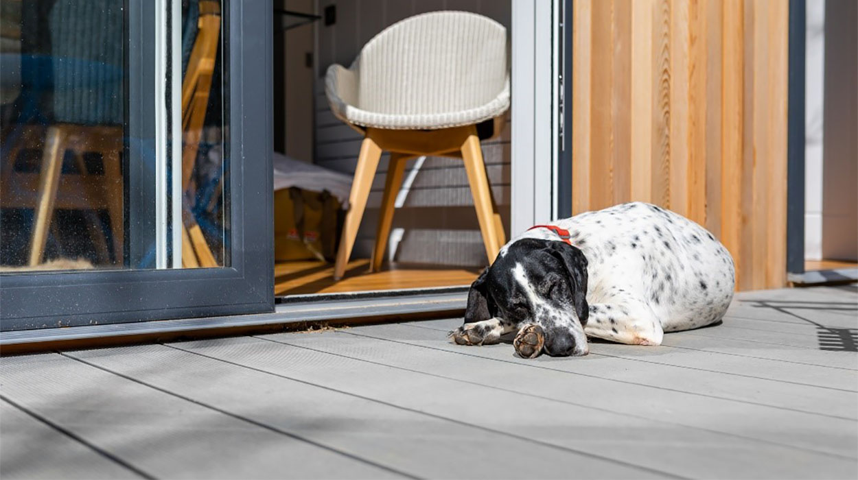 Spotted dog lying on Stone Grey Cladco Composite Decking in front of sliding patio doors