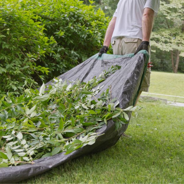 Tarpaulin carrying leaves for gardening