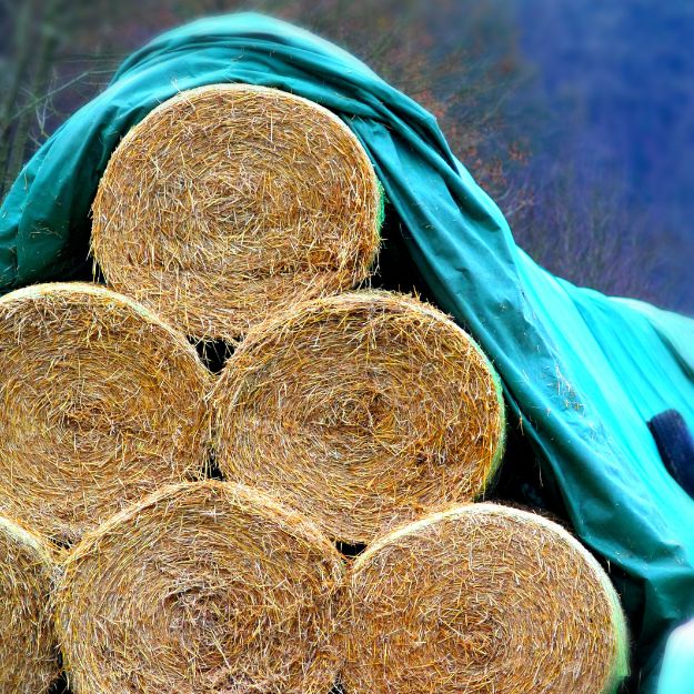 Tarps covering hay bails