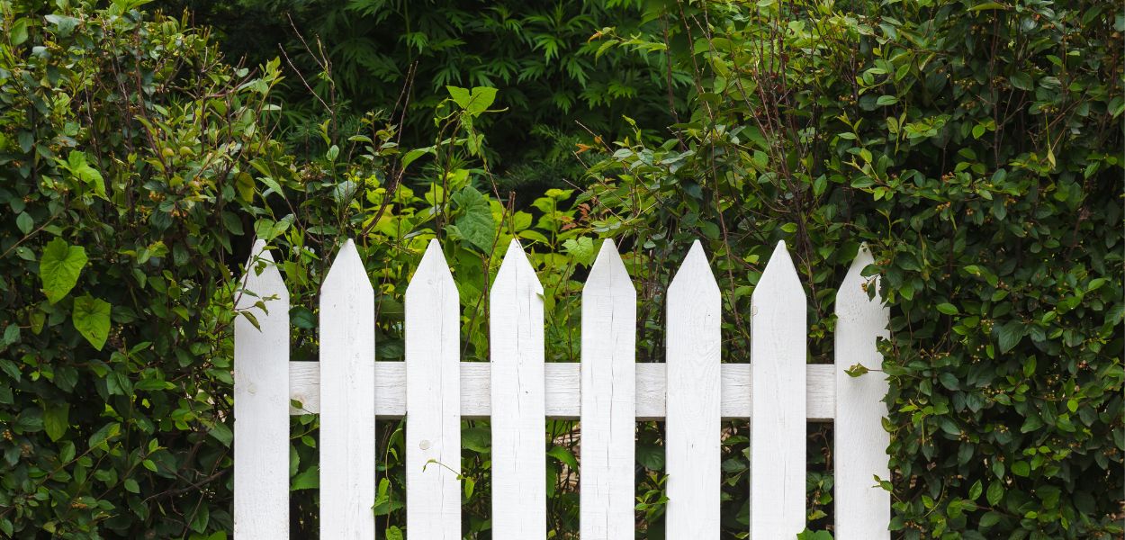 low_maintenance_fencing10