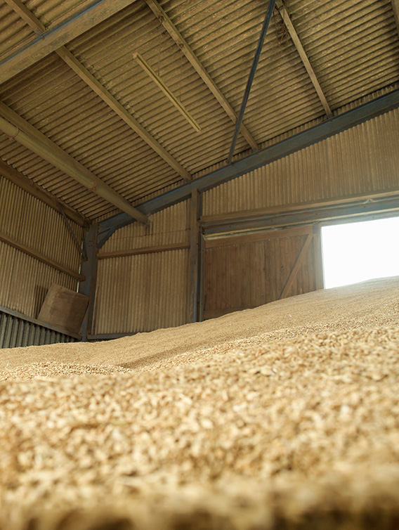 Inside an agricultural building where Dripstop® has been installed.