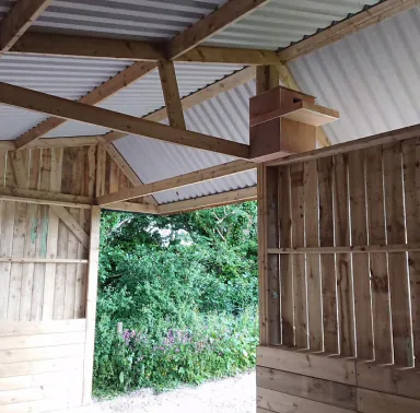 Underside of an apex roof showing Cladco Dripstop® roofing membrane.