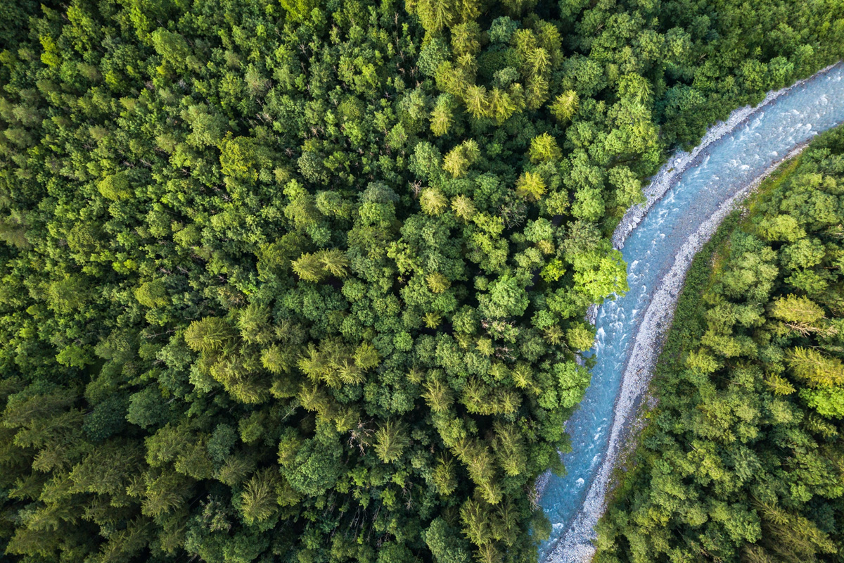 Overhead view of a forest with a river running through it.