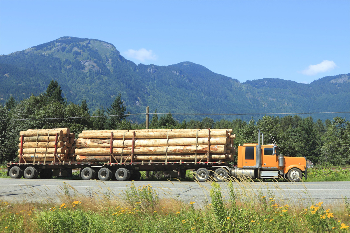Logging truck.
