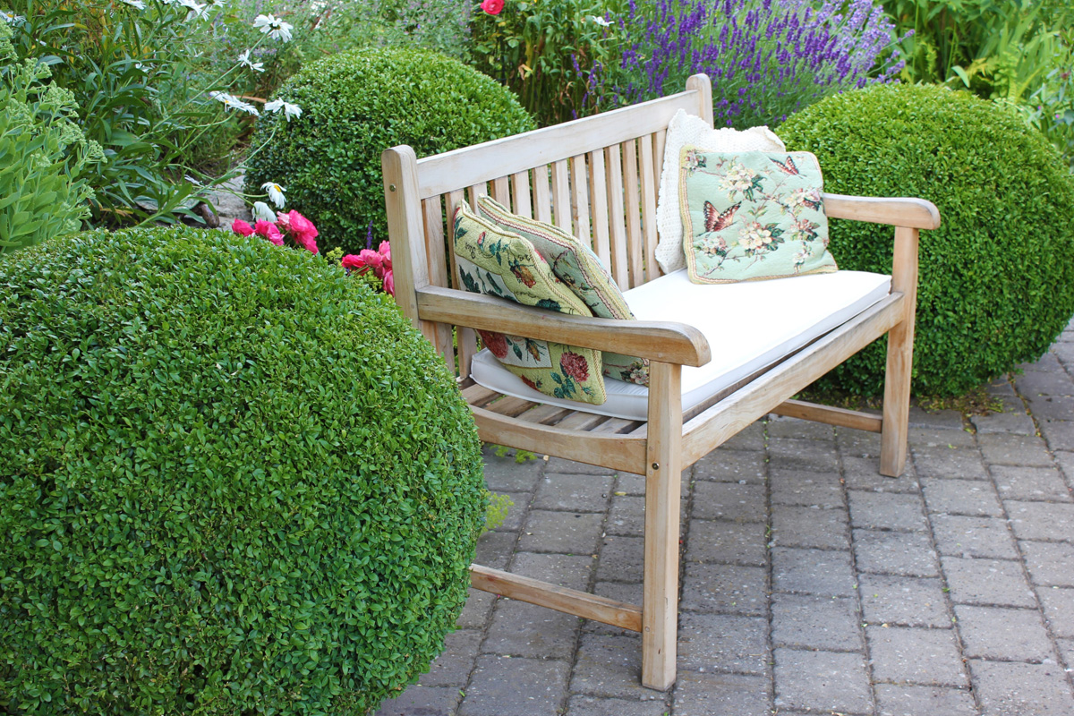 Wooden bench with cushions in leafy garden.